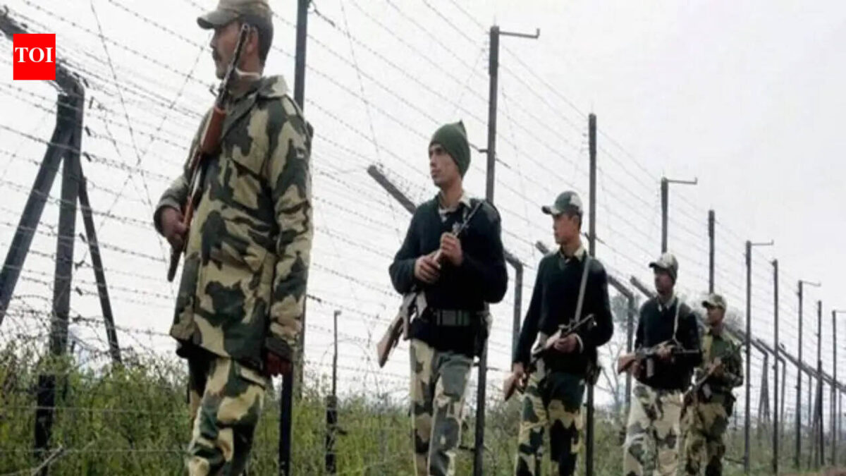 BSF fires on Tripura border 'in self-defence', killing two Bangladeshis