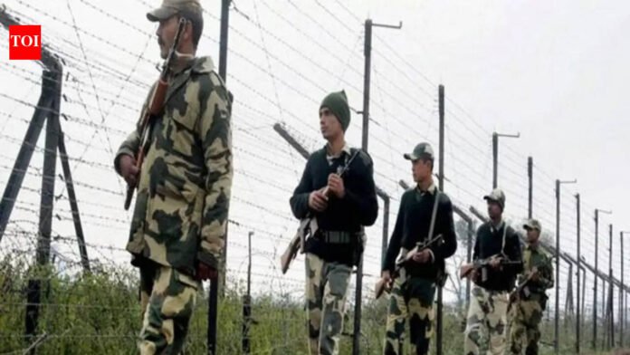 BSF fires on Tripura border 'in self-defence', killing two Bangladeshis

