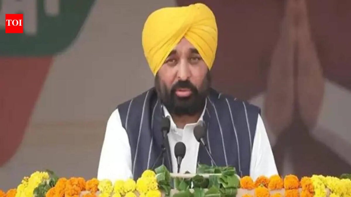 Bhagwant Mann accuses BJP of bombings, party threatens legal action to oust CM