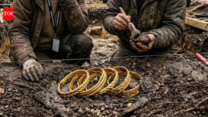 Danish Viking Treasure: This 1,000-year-old Viking treasure found in Denmark contains an armband of nearly pure gold | World News

