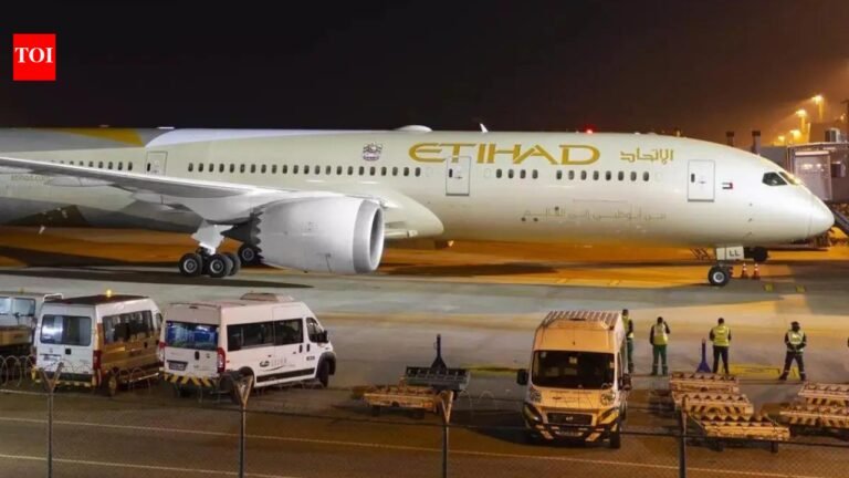 Etihad Chennai-Abu Dhabi flight canceled after wing caught fire during takeoff preparations