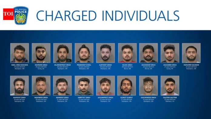 'For brothers': Canada busts major international gang, 17 Indians charged with extortion targeting South Asians

