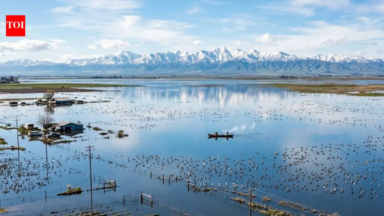 'Ghost Lake' Returns: California's Largest Water Loss Reappears After 130 Years | World News