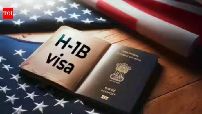 'H-1B regulation is...': Industry experts weigh in as U.S. plans to raise wage rules for foreign workers


