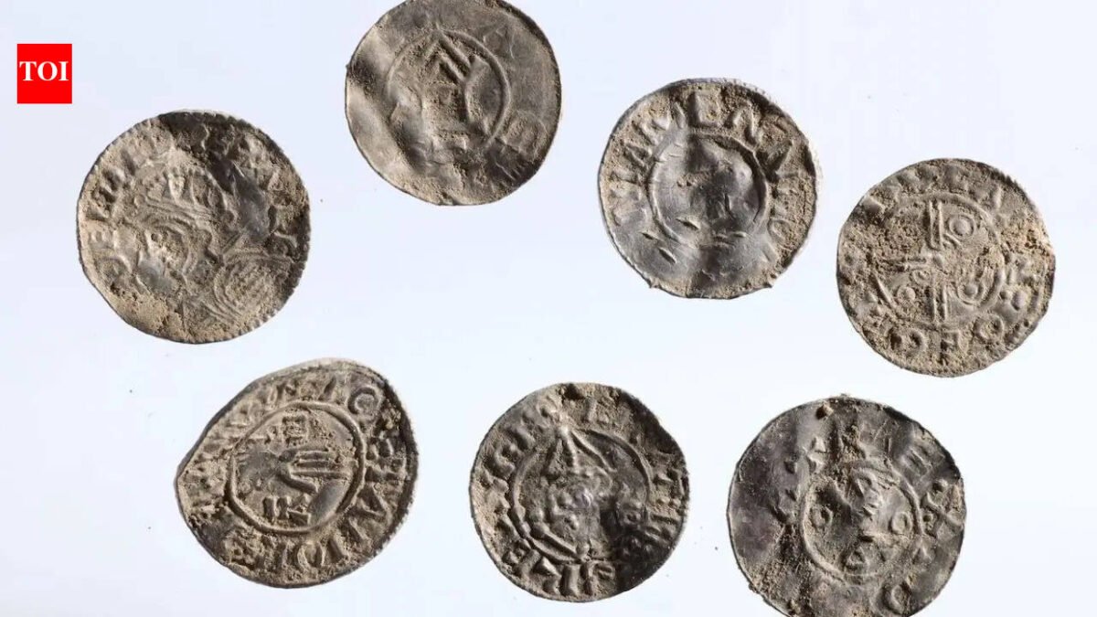 Hidden for 1,000 years: Massive Viking silver treasure hoard containing 3,000 coins found in Norway World News