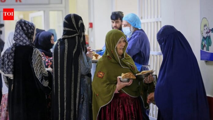 Hunger rages in Afghanistan as families 'sell' young daughters for food

