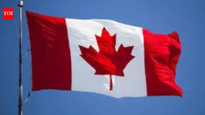 I thought it was a toy gun: Indian man in Canada says he had no idea his friend was working for Lawrence Bishnoi

