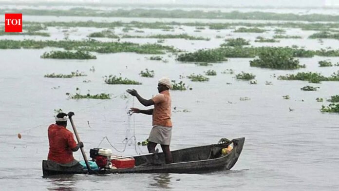 IMD: Monsoon likely to hit Andaman Islands this week

