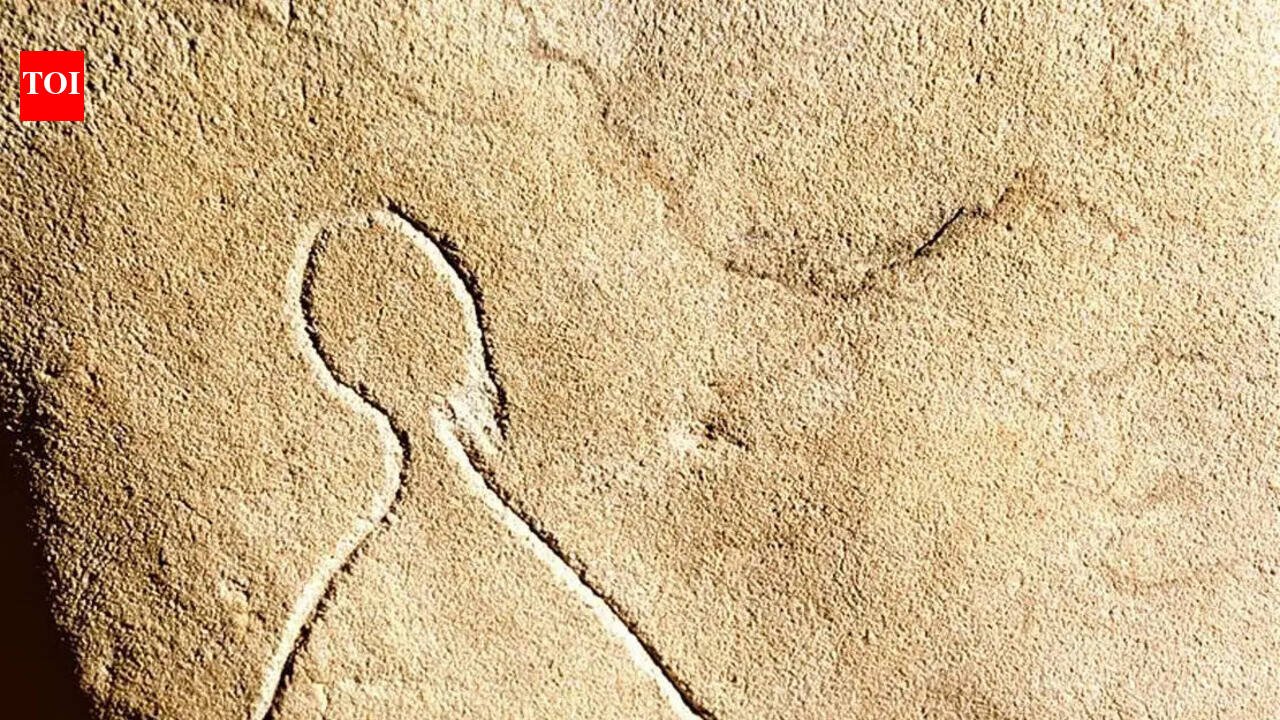 In 2000, an amateur explorer discovered a hidden cave filled with ancient art and tombs in France |