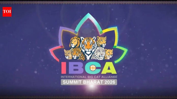 India urges big cat range countries to join treaty-based global alliance ahead of first summit in Delhi

