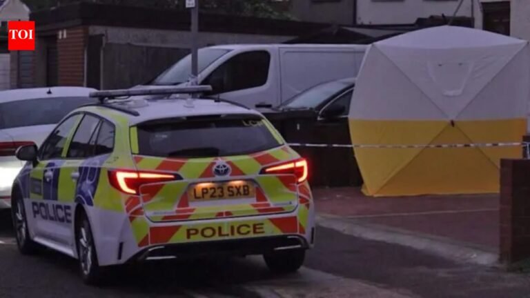 Indian-origin man convicted of attempted murder of woman, child in east London stabbings