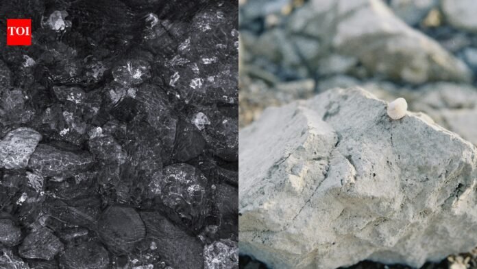 Is the mystery of the origin of the earth solved? Meteorites may hold secrets to life's ingredients

