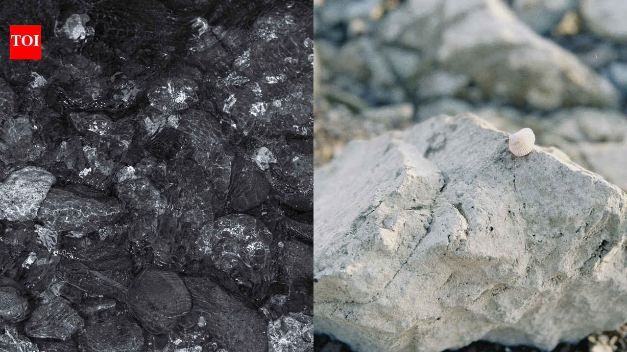 Is the mystery of the origin of the earth solved? Meteorites may hold secrets to life's ingredients