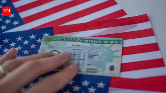 'It took me 8 years to get a green card': Indian investor's immigration journey draws criticism

