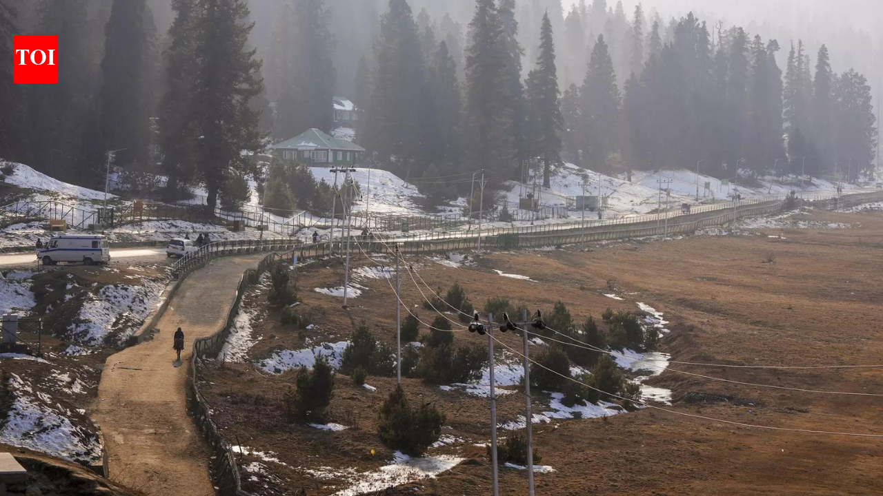 Jammu and Kashmir: Warming Gulmarg turns to technology for four-season skiing future