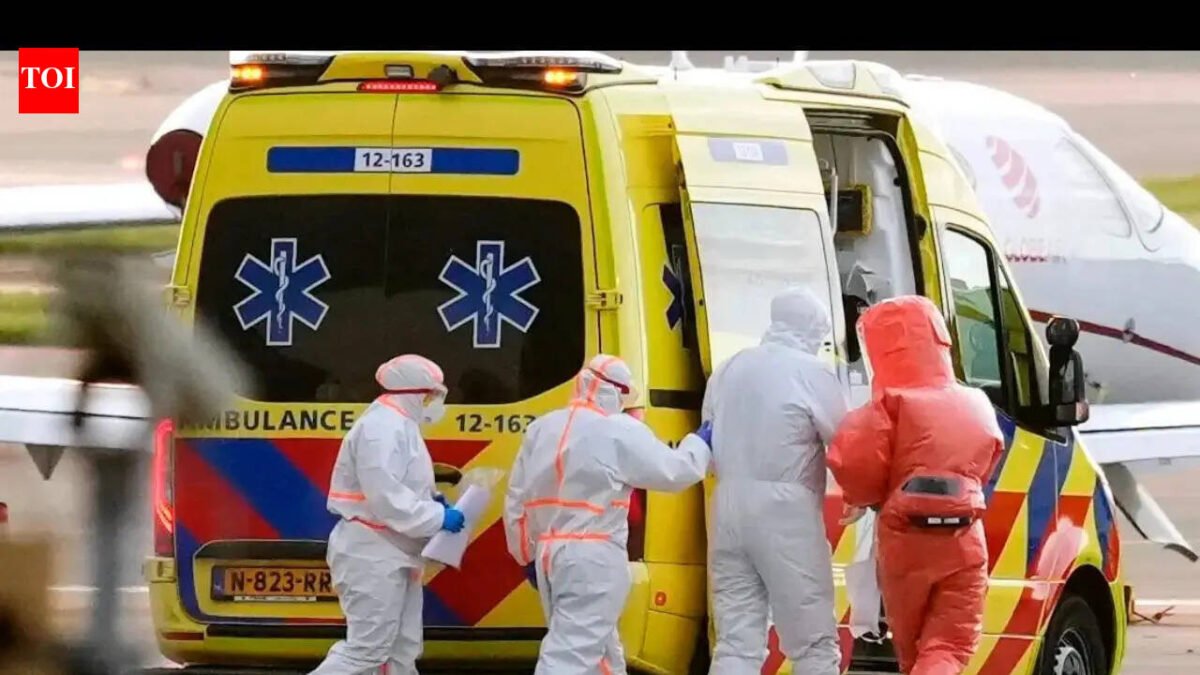 Labor Day! South Australian scientists detect hantavirus outbreak within 24 hours