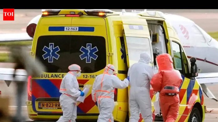 Labor Day! South Australian scientists detect hantavirus outbreak within 24 hours

