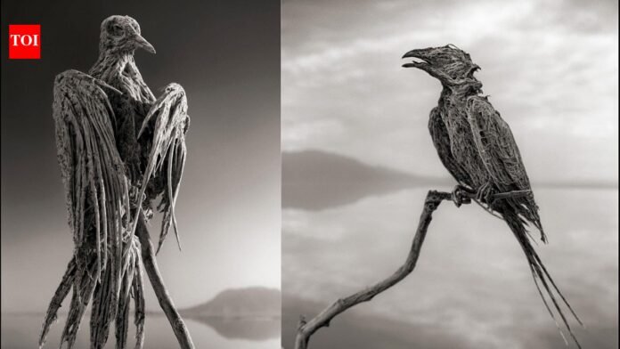 Lake Natron: Dead Lake: This lake in Tanzania can turn dead animals into stone statues | World News


