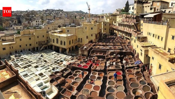 Morocco’s oldest and smelliest leather manufacturing site

