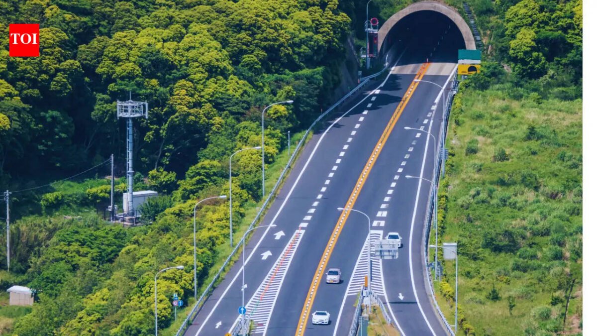 NCRB: Negligent driving kills 495 people every day on Indian roads in 2024