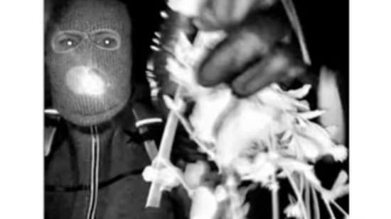 Nancy Guthrie Is the suspect female? ‘Femininity’ and ‘second mask’ theories emerge in search for missing woman