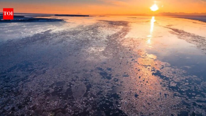 No sunset until August: 84 days of endless daylight in Alaska's northernmost town | World News

