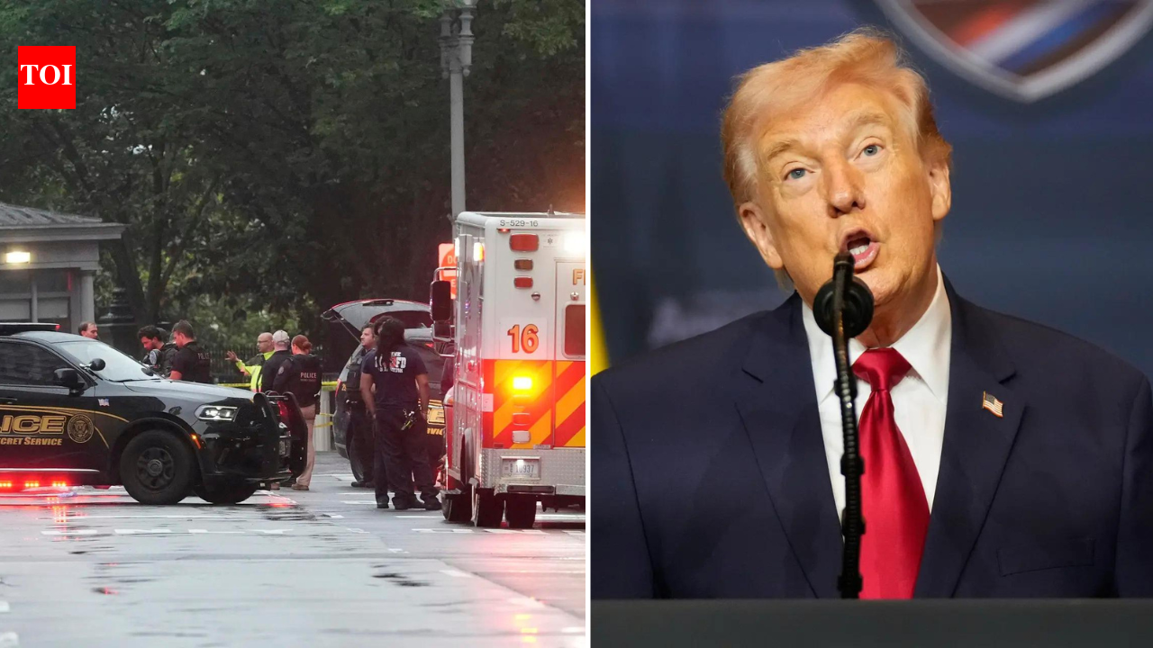 'Obsession with our nation's most treasured building': Trump reacts to White House shooting