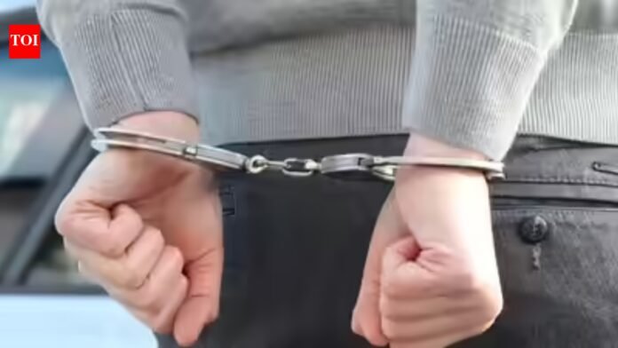 Pakistani national, three others arrested in U.S. for trying to smuggle 89 firearms into Canada

