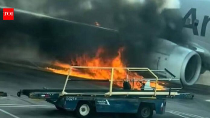 Plane carrying 231 passengers crashes into jaywalker and catches engine fire

