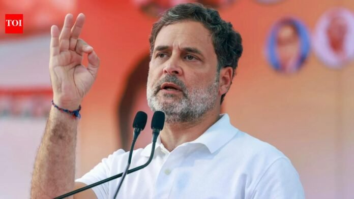 'Please speed up my return': Rahul Gandhi's response to 'BJP supporter' financier wins internet's attention

