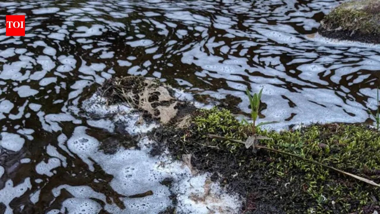 Pollution in Mali rivers kills fish, birds in environmental disaster