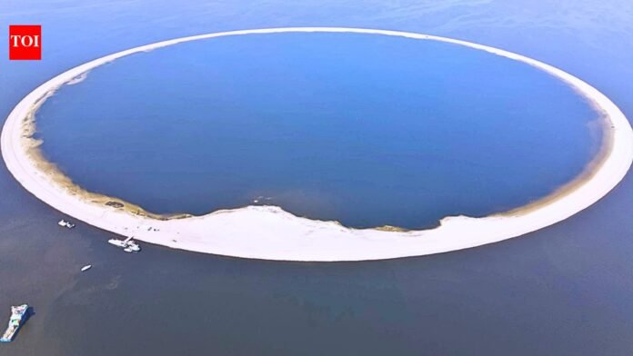 Protect life: Poland spends millions building artificial islands to protect rare birds and wildlife | World News

