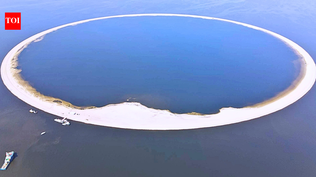 Protect life: Poland spends millions building artificial islands to protect rare birds and wildlife | World News