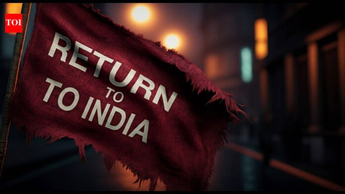 Reddit shares the experience of living in India for a year after living in the United States for 12 years

