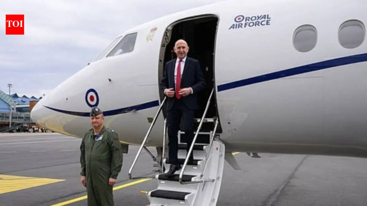 'Russian reckless interference': RAF jet carrying UK defense minister encounters GPS jamming near Russian border