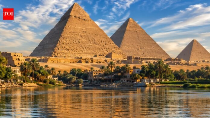 Scientists discover pollen fossils reveal hidden Nile channel used to build Great Pyramid


