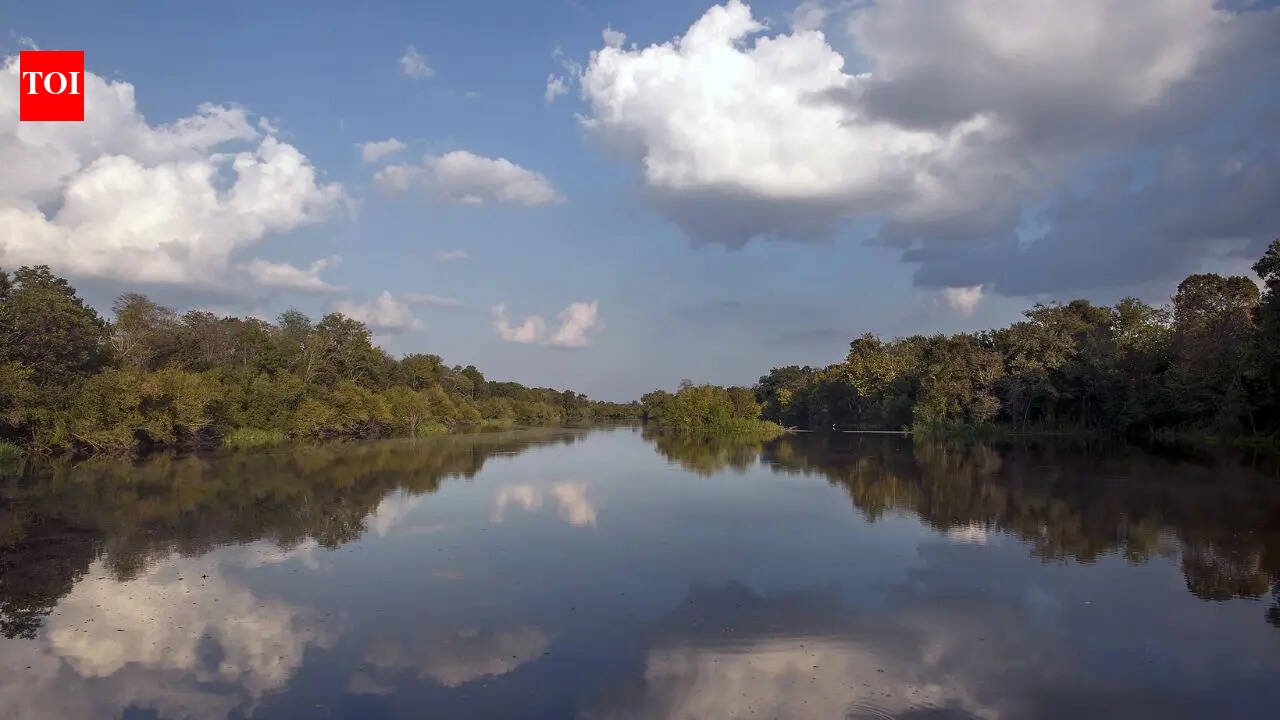 Shocking reversal of flow in world's largest Mississippi River during US's 2012 Hurricane Isaac: Scientists explain what happened | World News