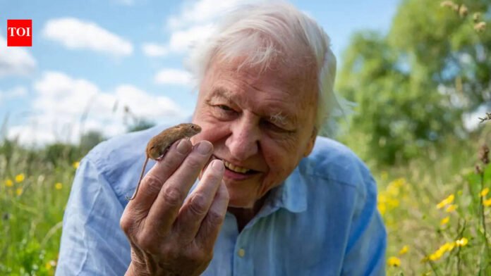 Sir David Attenborough celebrates 100th birthday: the life, legacy and global impact of the world's best-loved natural history broadcaster |

