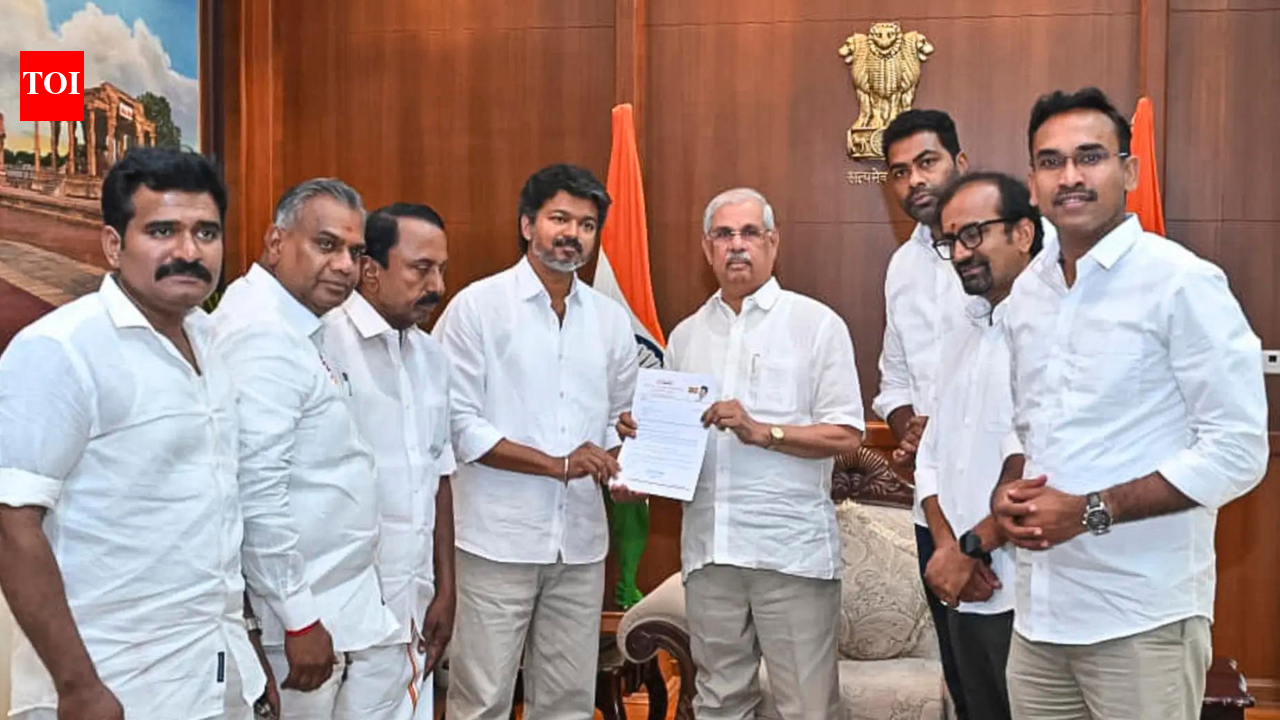Tamil Nadu government formation: TVK chief Vijay's second bid fails again - says governor