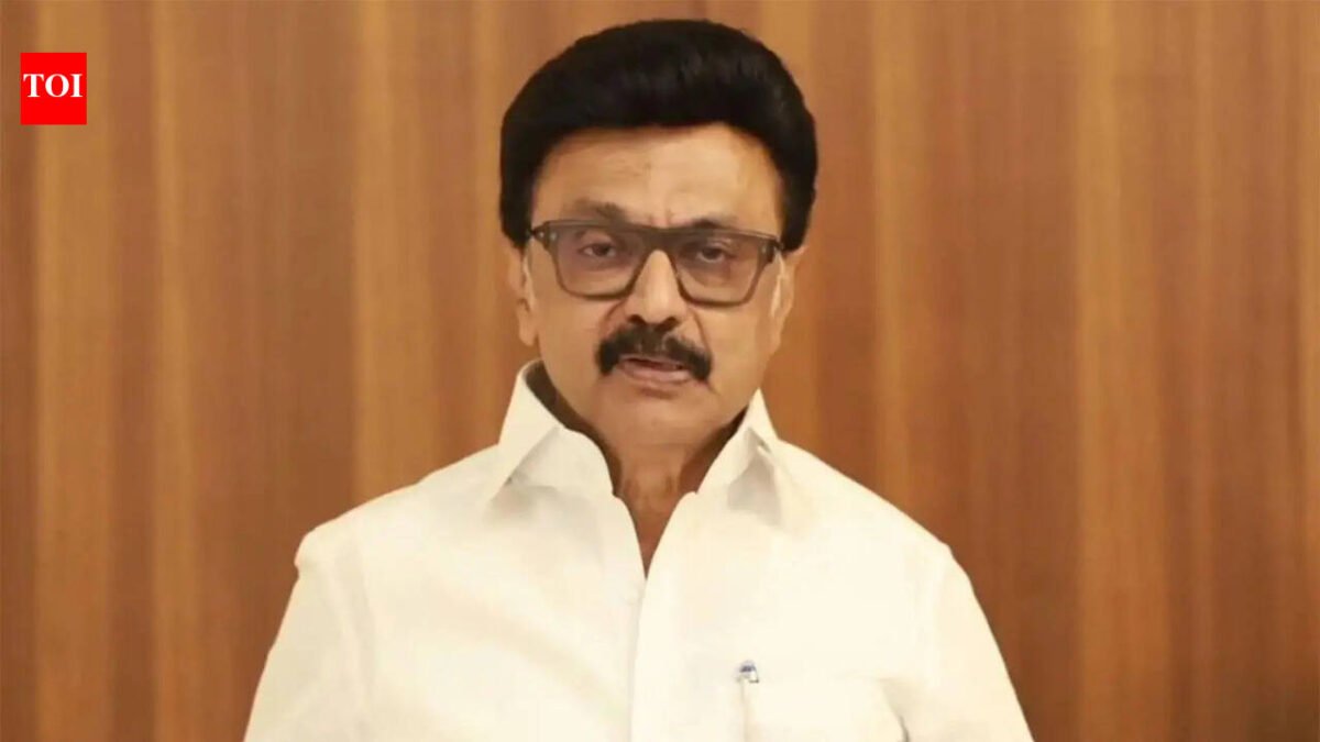 Tamil Nadu verdict: MK Stalin says let Vijay form government, will watch, won't disturb for 6 months