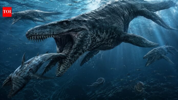 The 43-foot-long 'Ocean Tyrannosaurus Rex' was bigger than a great white shark and more ferocious than any mosasaur found in Texas

