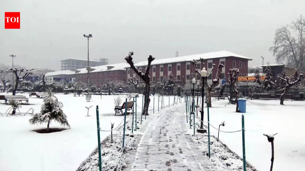 There was snow, rain and mercury plummeting in Kashmir, Himachal Pradesh and Kashmir. Uttarakhand