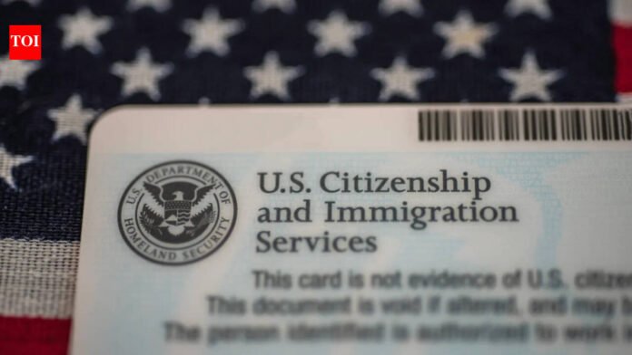 Things to consider on your next immigration application

