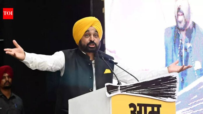 'This is Punjab and will not be intimidated by threats': Bhagwant Mann after ED raids minister

