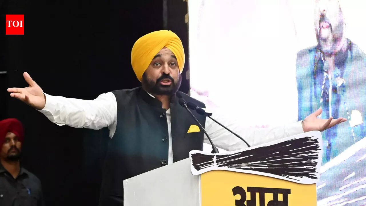 'This is Punjab and will not be intimidated by threats': Bhagwant Mann after ED raids minister