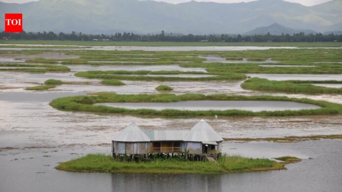 This mysterious floating lake with circular islands in India is also home to one of the world's longest snakes

