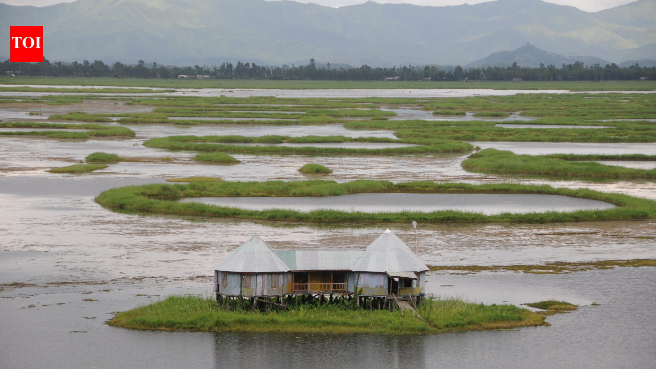 This mysterious floating lake with circular islands in India is also home to one of the world's longest snakes