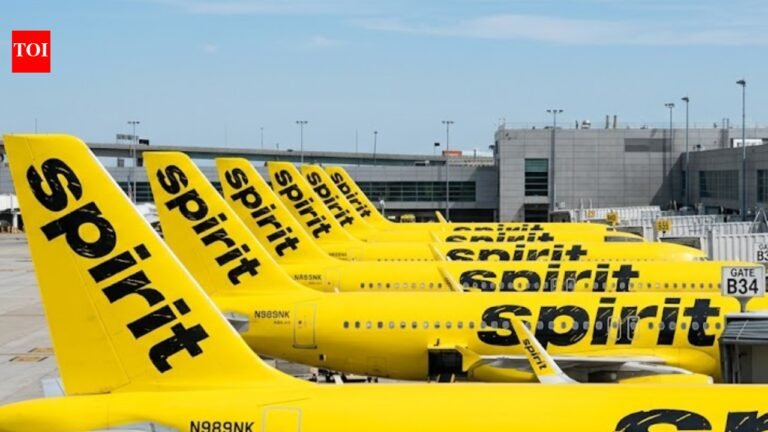 TikTok crowdfunds to acquire Spirit Airlines for $335 million