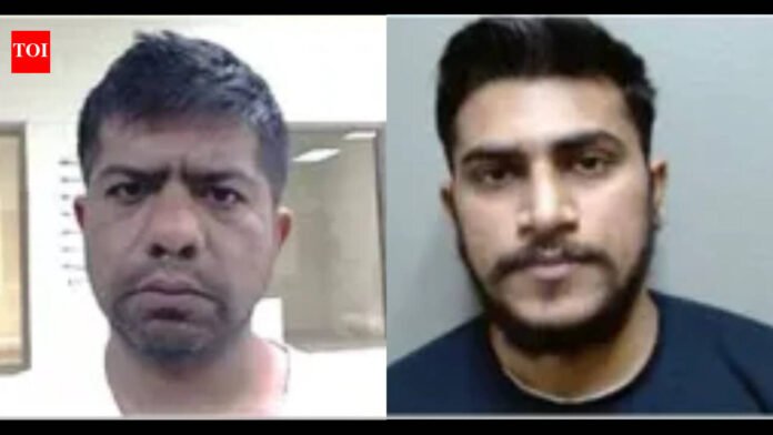 Two Indians arrested by ICE: one for attempted child abuse, the other for stealing $60,000

