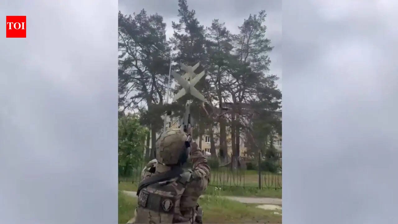 WATCH: Russia's $500 'set-and-forget' Yolka drone hunter is perfect for soldiers